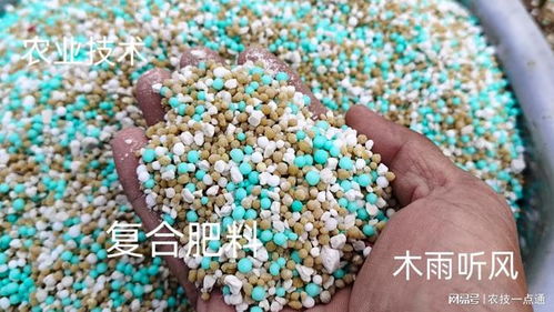 種豆角用什么化學(xué)肥料好 科學(xué)施肥指南