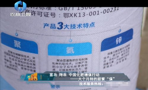 從土壤培育看增值之道 富島翔燕與中海化學的養分革命