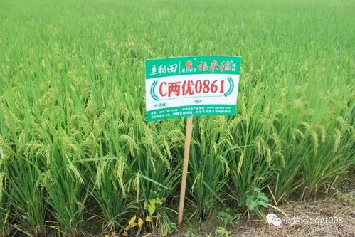 國內外耕地培肥的技術對比