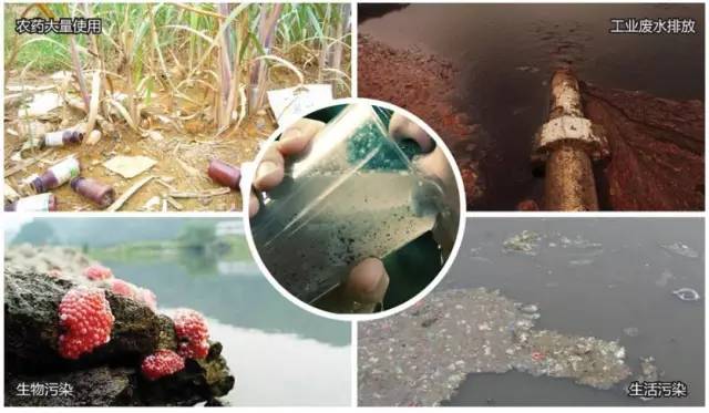 告別硬水之憂！化學肥料時代的凈水器選購指南